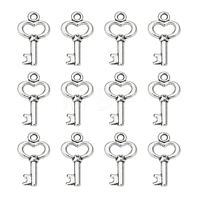 Gifts Ideas for Her Tibetan Style Alloy Charms LS-LF11975Y-NF-1