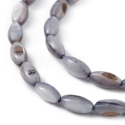 Natural Freshwater Shell Dyed Beads Strands SHEL-M018-13-04-1