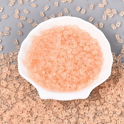FGB Frosted Transparent Glass Seed Beads SEED-N013-06A-03-1