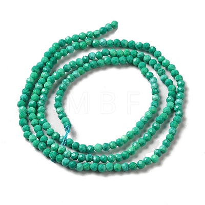 Natural Howlite Beads Strands G-C025-02A-02-1