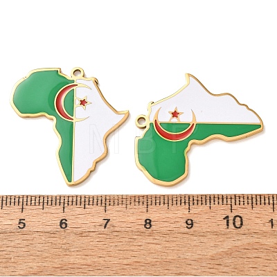 304 Stainless Steel & Enamel Pendants SA-CBA6ECE-01G-G07-1