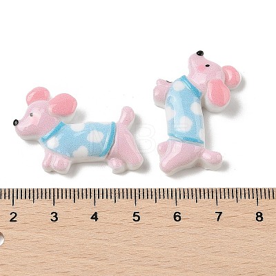 Resin Cabochons RESI-S012-02B-1