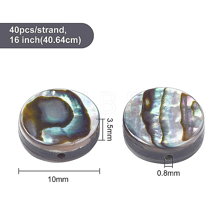 Natural Abalone Shell/Paua Shell Beads Strands SSHEL-BC0001-11-1