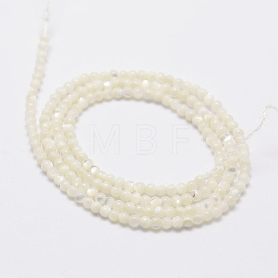 Natural White Shell Beads G-N0190-11-2mm-1