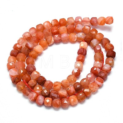 Natural Red Agate Beads Strands G-G106-G04-01-1