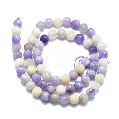 Natural Purple Opal Beads Strands G-K245-A07-D02-1