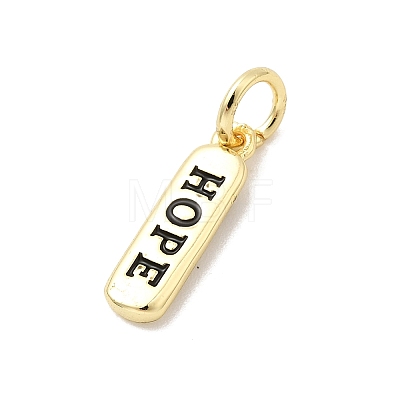 Brass Enamel Charms KK-P338-01G-E01-1