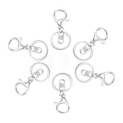 Iron Alloy Lobster Claw Clasp Keychain LS-KEYC-D016-S-1
