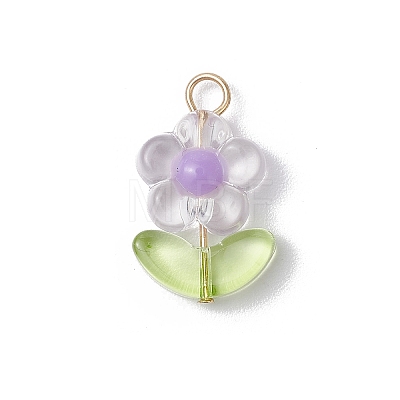 Transparent Acrylic Pendants PALLOY-JF03713-02-1