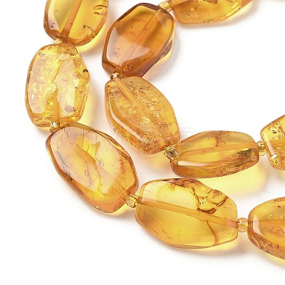 Natural Amber Beads Strands G-L095-C01-05-1