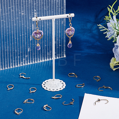 50Pcs 304 Stainless Steel Leverback Earring Findings STAS-BBC0011-12-1