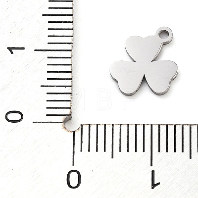 Anti-Tarnish 304 Stainless Steel Charms STAS-M076-10P-1