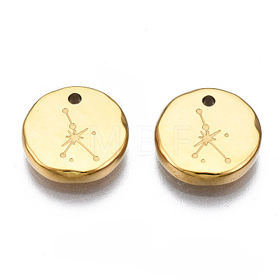 316 Surgical Stainless Steel Charms STAS-S116-418I-G-1