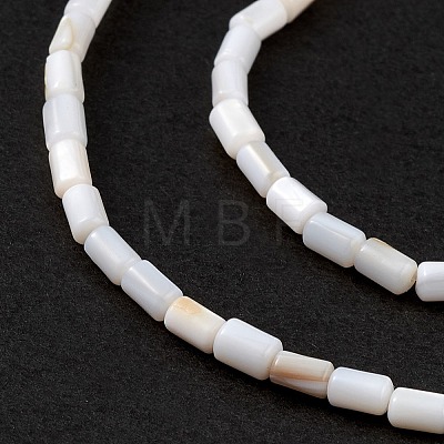 Natural Freshwater Shell Dyed Beads Strands X-SHEL-M018-12-12-1