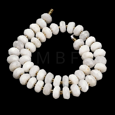 Natural Rainbow Moonstone Beads Strands G-L642-J06-01-1