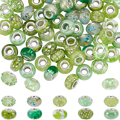 100Pcs 10 Styles Resin European Beads RPDL-SP0001-07-1