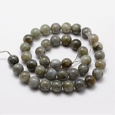 Natural Labradorite Bead Strands G-O155-05A-4mm-1