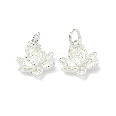 925 Sterling Silver Charms STER-A050-04C-S-1