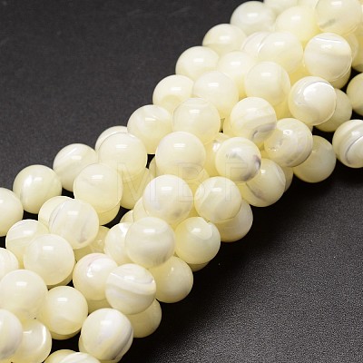 Shell Beads Strands SSHEL-E571-39-3mm-1