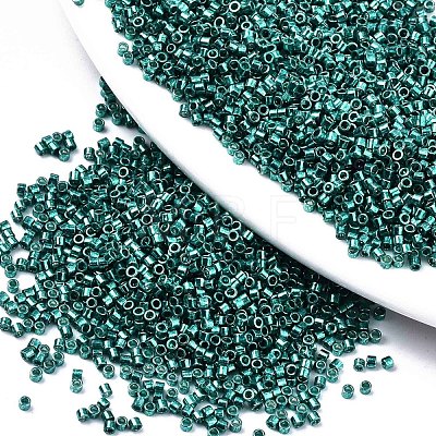 FGB 11/0 Grade A Glass Seed Beads X-SEED-S030-1216-1