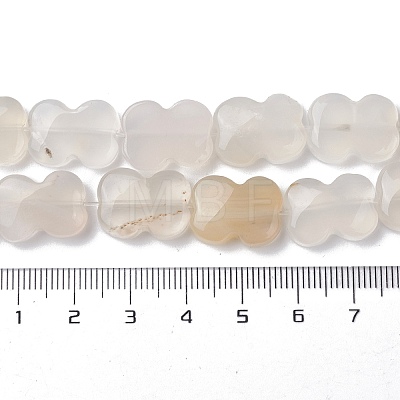 Natural White Agate Beads Strands G-K359-D02-01-1