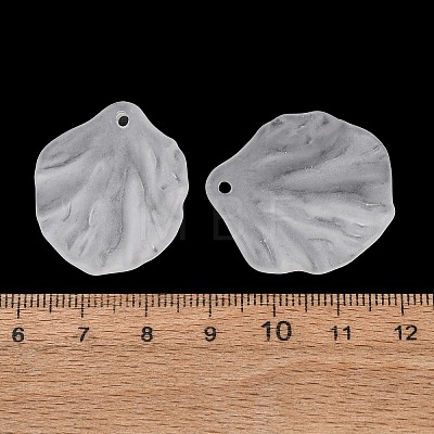 Frosted Acrylic Pendants AC-CBA1E6C-01B-1