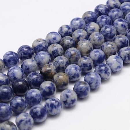 Natural Blue Spot Jasper Bead Strands G-K153-B07-8mm-1