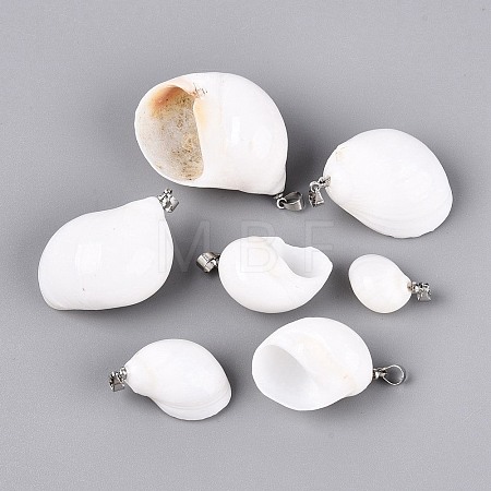 Brass & Natural Spiral Shell Pendants SHEL-Q029-12P-1