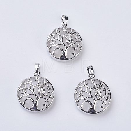 Natural Quartz Crystal Pendants G-K234-E13-1
