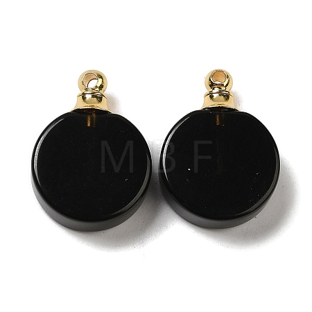 Natural Obsidian Perfume Bottle Pendants G-Z039-02G-06-1