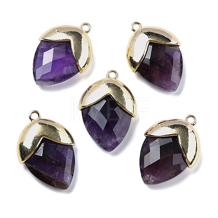 Natural Amethyst Pendants G-U019-03B-04-1