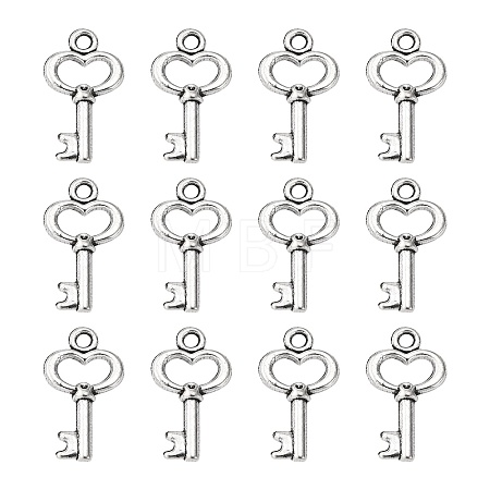 Gifts Ideas for Her Tibetan Style Alloy Charms LS-LF11975Y-NF-1