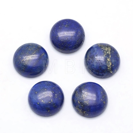 Natural Lapis Lazuli Cabochons X-G-P393-R11-12mm-1