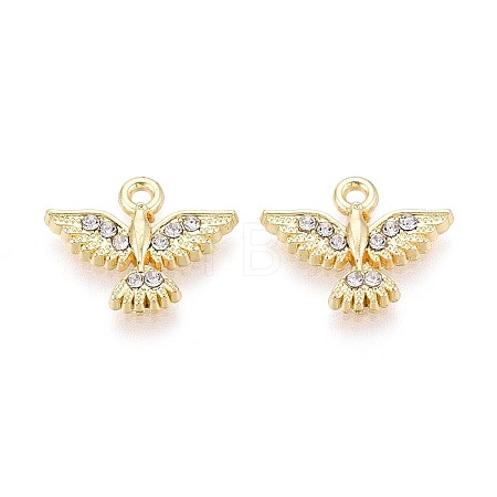 Alloy & Rhinestone Pendants PALLOY-T095-06KCG-1
