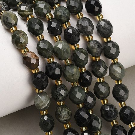 Natural Green Wood Lace Stone/Wooden Jasper Beads Strands GG-CBA4A3B-A03-1