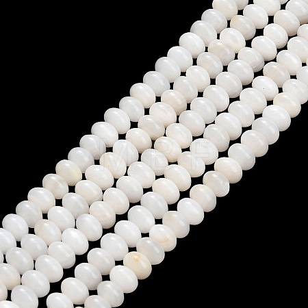 Natural Freshwater Shell Beads Strands SHEL-C010-04B-02-1