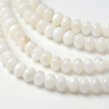 Dyed Natural Freshwater Shell Rondelle Bead Strands X-BSHE-O016-19D-1
