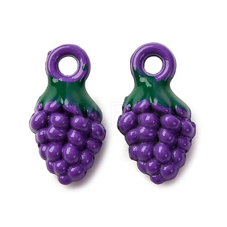 Baking Paint Alloy Pendants FIND-G097-04B-1