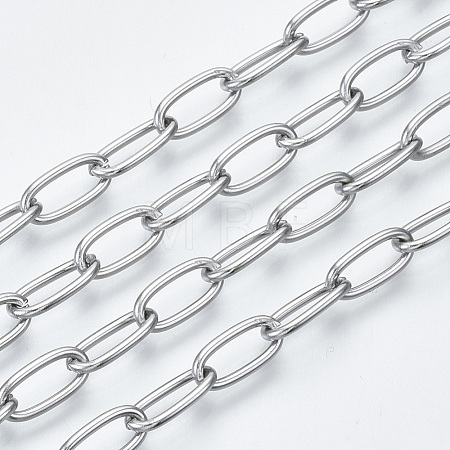 Non-Tarnish 3.28 Feet 304 Stainless Steel Paperclip Chains X-CHS-S001-06A-P-1