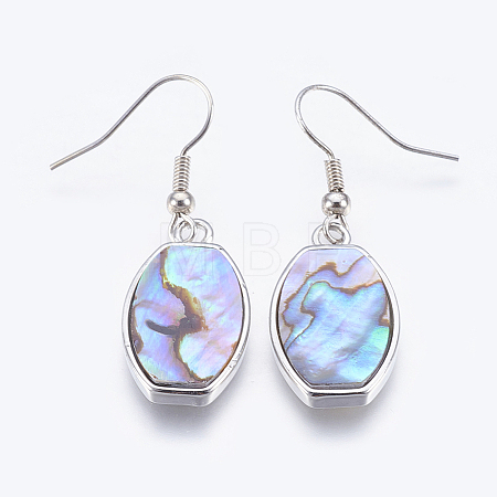 Abalone Shell/Paua Shell Dangle Earrings EJEW-P148-16-01-1