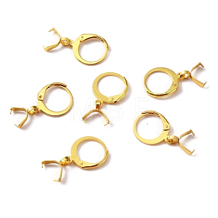 304 Stainless Steel Leverback Earring Finding STAS-WH0022-87G-1