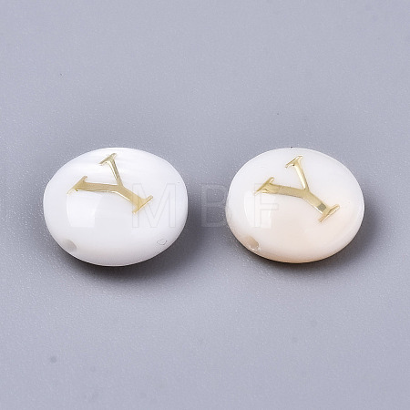 Natural Freshwater Shell Beads SHEL-S266-12Y-1