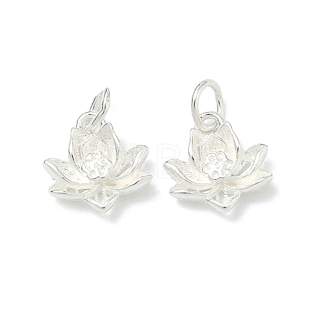925 Sterling Silver Charms STER-A050-04C-S-1