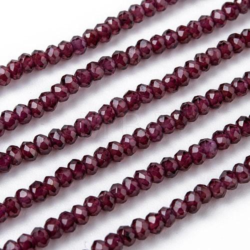 Natural Garnet Beads Strands G-F460-07-1