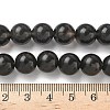Natural Ice Obsidian Beads Strands G-P590-A03-10mm-03-3