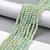 Faceted Electroplated Glass Beads Strands X-GLAA-C023-02-C13-3