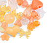 Opaque & Transparent Acrylic Beads MACR-T045-01B-1