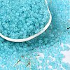6/0 Luminous Glass Seed Beads X1-SEED-NH0001-01N-2