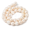 Natural Cultured Freshwater Pearl Beads Strands PEAR-P064-19L-02B-3