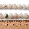 Natural White Moonstone Beads Strands G-I388-01-8mm-5